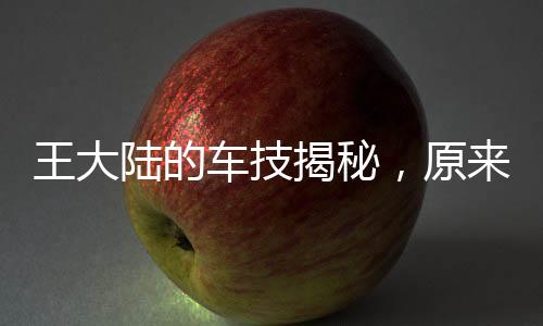 王大陸的車技揭秘，原來他竟不會開車門？