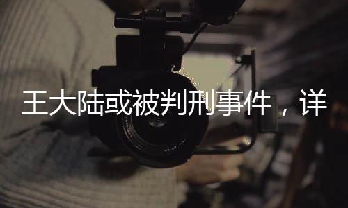 王大陸或被判刑事件，詳細解讀與多方關(guān)注