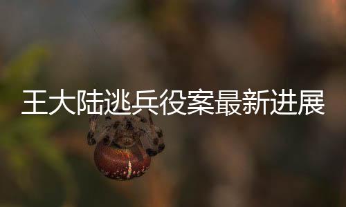 王大陸逃兵役案最新進(jìn)展，定罪最高判五年