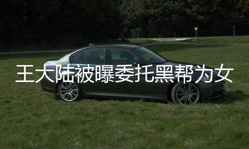 王大陸被曝委托黑幫為女友討債，事件內(nèi)幕揭秘