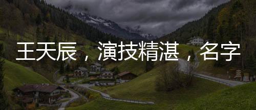 王天辰，演技精湛，名字深刻印在觀眾心中