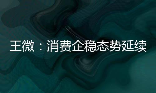 王微：消費(fèi)企穩(wěn)態(tài)勢(shì)延續(xù) 向新勢(shì)頭不改