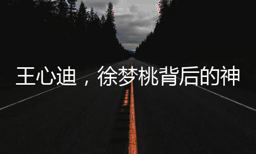 王心迪，徐夢(mèng)桃背后的神秘榜一大哥揭秘