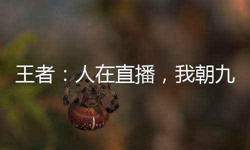 王者：人在直播，我朝九晚五！