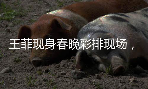 王菲現(xiàn)身春晚彩排現(xiàn)場(chǎng)，親切與路人打招呼，展現(xiàn)巨星風(fēng)采與親民魅力