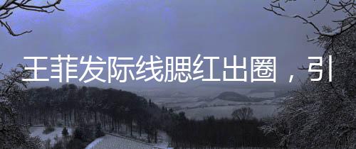 王菲發(fā)際線腮紅出圈，引領(lǐng)時(shí)尚新潮流