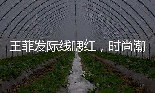 王菲發(fā)際線腮紅，時尚潮流的新焦點
