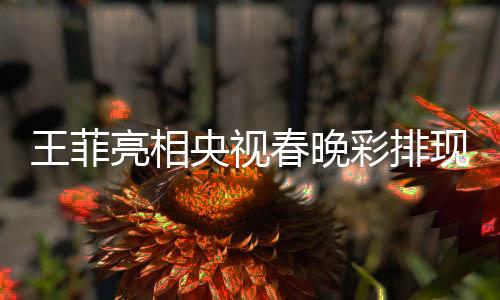 王菲亮相央視春晚彩排現(xiàn)場(chǎng)，引爆全民期待熱潮