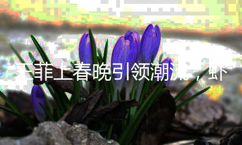 王菲上春晚引領潮流，蝦片耳環(huán)引爆熱點——商家回應