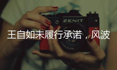 王自如未履行承諾，風(fēng)波背后的故事