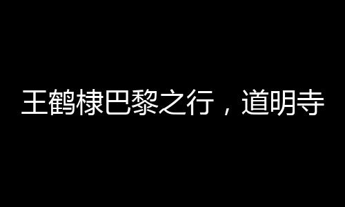王鶴棣巴黎之行，道明寺風(fēng)格的時尚演繹
