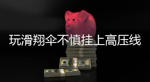 玩滑翔傘不慎掛上高壓線，驚險(xiǎn)一幕引發(fā)社會(huì)關(guān)注