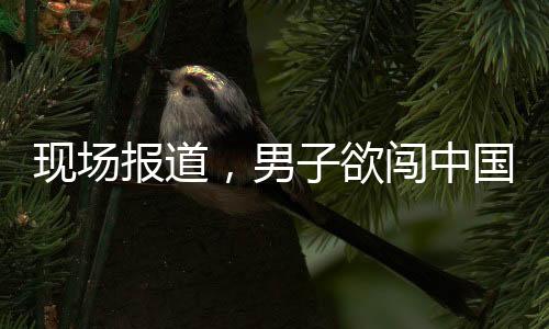 現(xiàn)場報道，男子欲闖中國駐韓使館被成功阻止事件經(jīng)過概述
