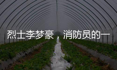 烈士李夢(mèng)豪，消防員的一生，英勇的奉獻(xiàn)
