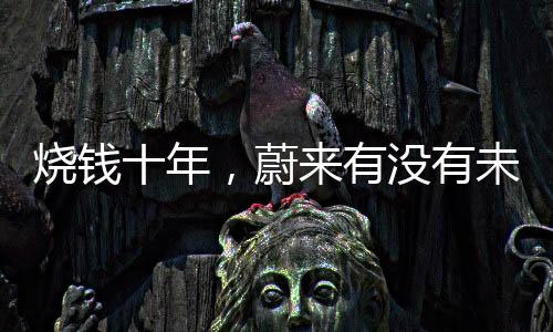 燒錢(qián)十年，蔚來(lái)有沒(méi)有未來(lái)？