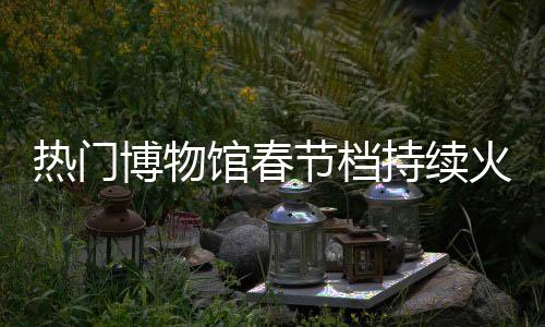 熱門博物館春節(jié)檔持續(xù)火爆 多地景區(qū)發(fā)布門票提示