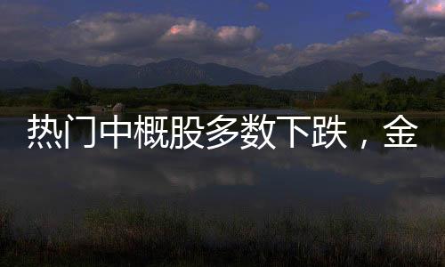 熱門中概股多數(shù)下跌，金山云跌逾13%，股市動態(tài)與市場反應分析