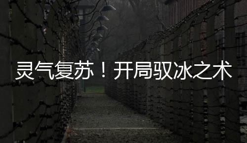 靈氣復(fù)蘇！開局馭冰之術(shù)