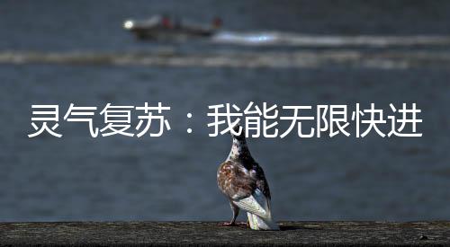 靈氣復(fù)蘇：我能無限快進