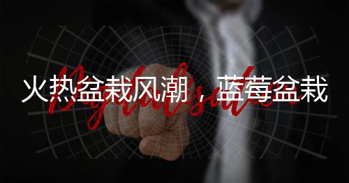 火熱盆栽風潮，藍莓盆栽成為新晉綠色時尚