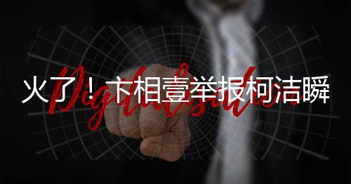 火了！卞相壹舉報柯潔瞬間成表情包