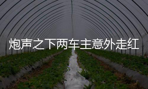 炮聲之下兩車主意外走紅，漲粉逾二十萬(wàn)背后的故事