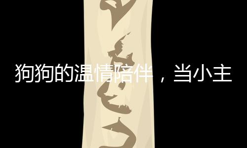 狗狗的溫情陪伴，當(dāng)小主人踏上歸途，狗狗主動趴下做腳墊子
