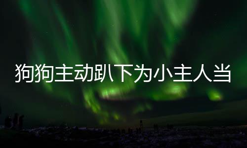 狗狗主動(dòng)趴下為小主人當(dāng)腳墊子，展現(xiàn)忠誠(chéng)與陪伴的力量