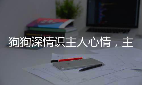 狗狗深情識主人心情，主動(dòng)安慰觸動(dòng)心靈