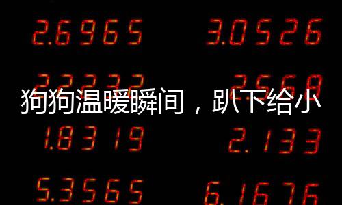 狗狗溫暖瞬間，趴下給小主人當腳墊子的感人畫面