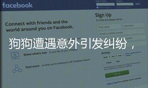 狗狗遭遇意外引發(fā)糾紛，主人訓斥鄰居并引起關(guān)注