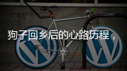狗子回鄉(xiāng)后的心路歷程，天天掛念著回家的路