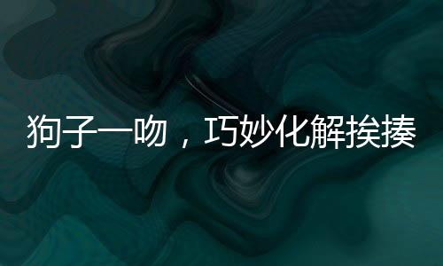 狗子一吻，巧妙化解挨揍危機