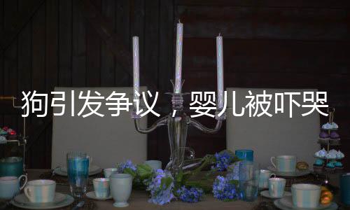狗引發(fā)爭議，嬰兒被嚇哭，家長驅(qū)趕遭狗主人怒斥