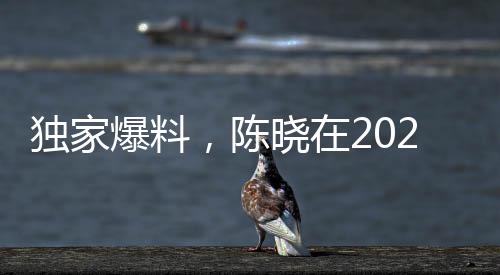 獨(dú)家爆料，陳曉在2023年曾提出凈身出戶(hù)