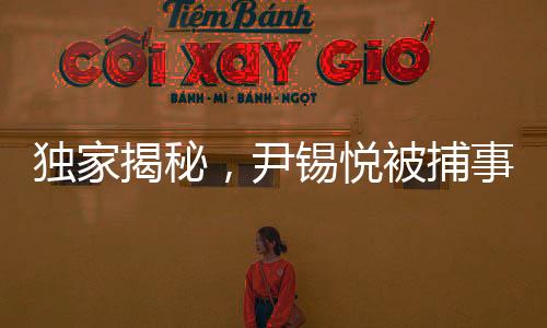 獨家揭秘，尹錫悅被捕事件全記錄