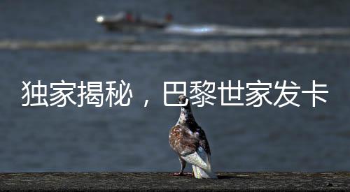 獨(dú)家揭秘，巴黎世家發(fā)卡背后的故事，價(jià)格飆升至2700元背后的真相