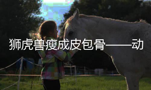 獅虎獸瘦成皮包骨——動物福利與健康引人關注