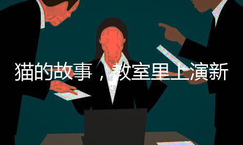貓的故事，教室里上演新生命的誕生，學(xué)生的抽屜成為新生命的起點(diǎn)