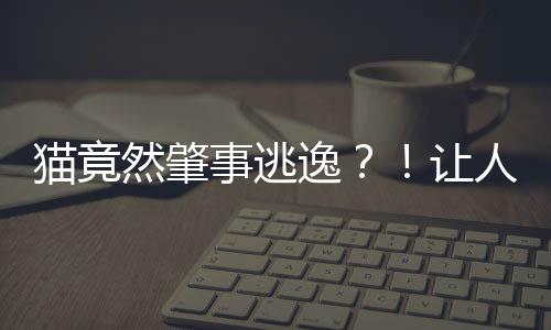 貓竟然肇事逃逸？！讓人震驚的交通真相揭秘