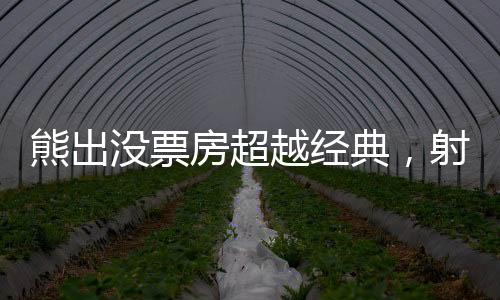 熊出沒(méi)票房超越經(jīng)典，射雕英雄傳面臨的挑戰(zhàn)與思考