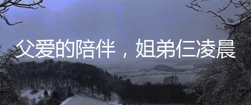 父愛的陪伴，姐弟仨凌晨返程，一夜守護(hù)見證深情