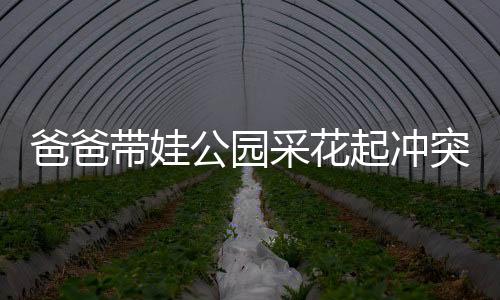 爸爸帶娃公園采花起沖突，家庭教育與社會責任引深思