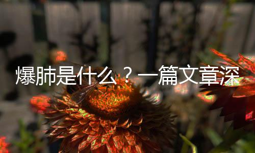 爆肺是什么？一篇文章深度解析