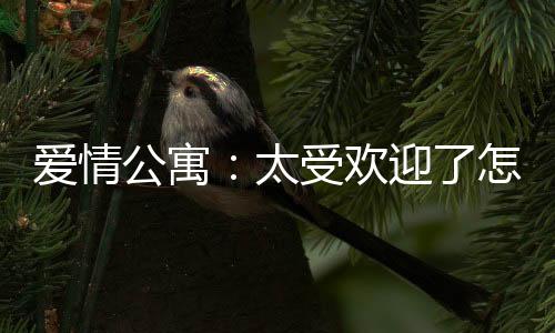 愛情公寓：太受歡迎了怎么辦