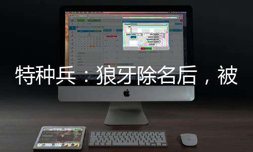 特種兵：狼牙除名后，被安然倒追