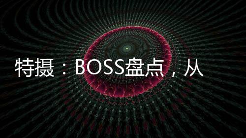 特攝：BOSS盤點，從零號開始