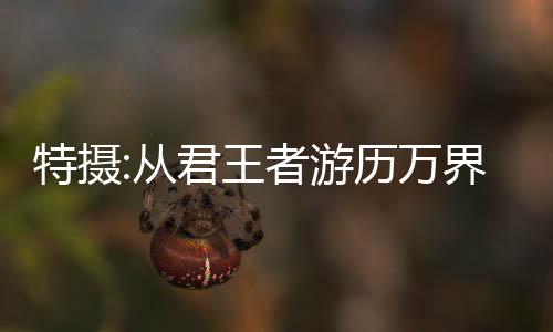 特攝:從君王者游歷萬界