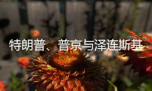 特朗普、普京與澤連斯基，會談能否達成停戰(zhàn)協(xié)議？
