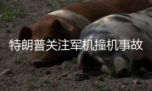 特朗普關注軍機撞機事故，為何軍機在危機中無法轉彎？